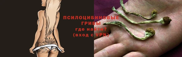 mdpv Бронницы