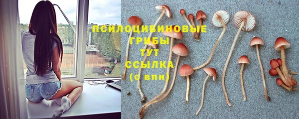гидропоника Богородицк