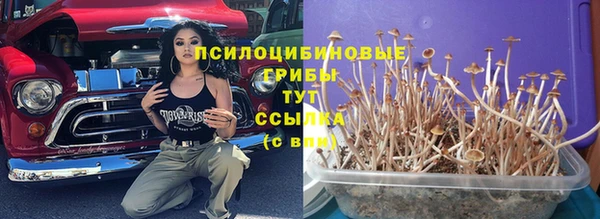 скорость mdpv Бородино