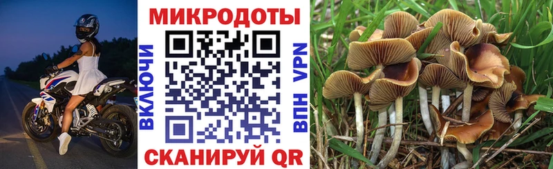 магазин продажи наркотиков  Верещагино  KRAKEN ТОР  Галлюциногенные грибы Cubensis 